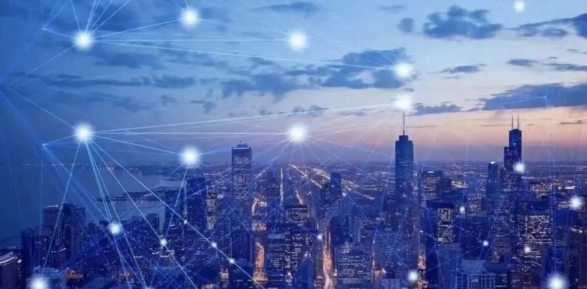 训诫处理依据什么法律