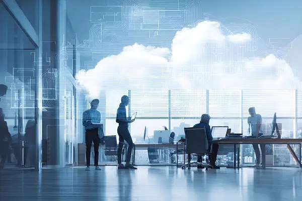 养陆龟触犯什么法律