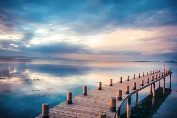 什么法律可以保护自己