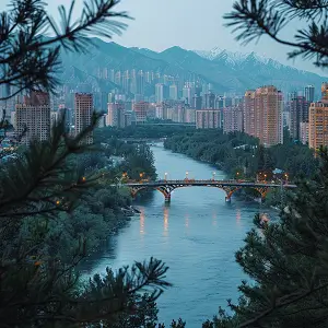 商代实行的法律是什么