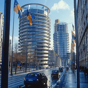 网络赌球什么法律后果