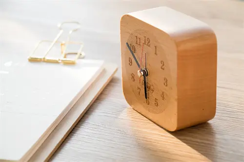 公司以什么法律成立